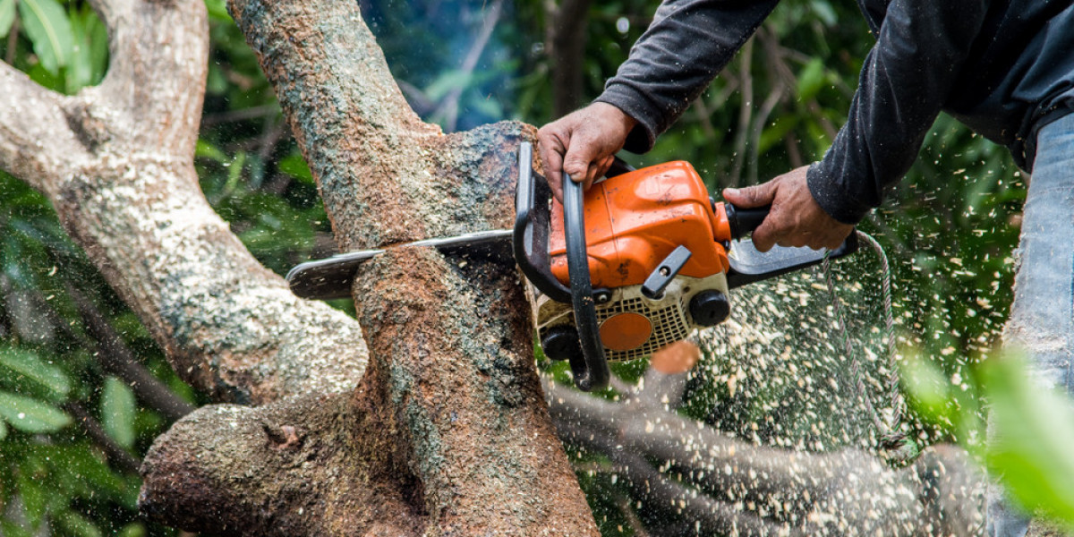 The Importance and Techniques of Tree Trimming