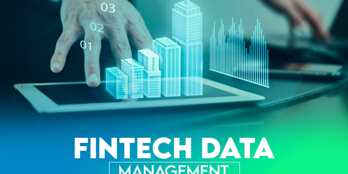 What Is Fintech Data Management?