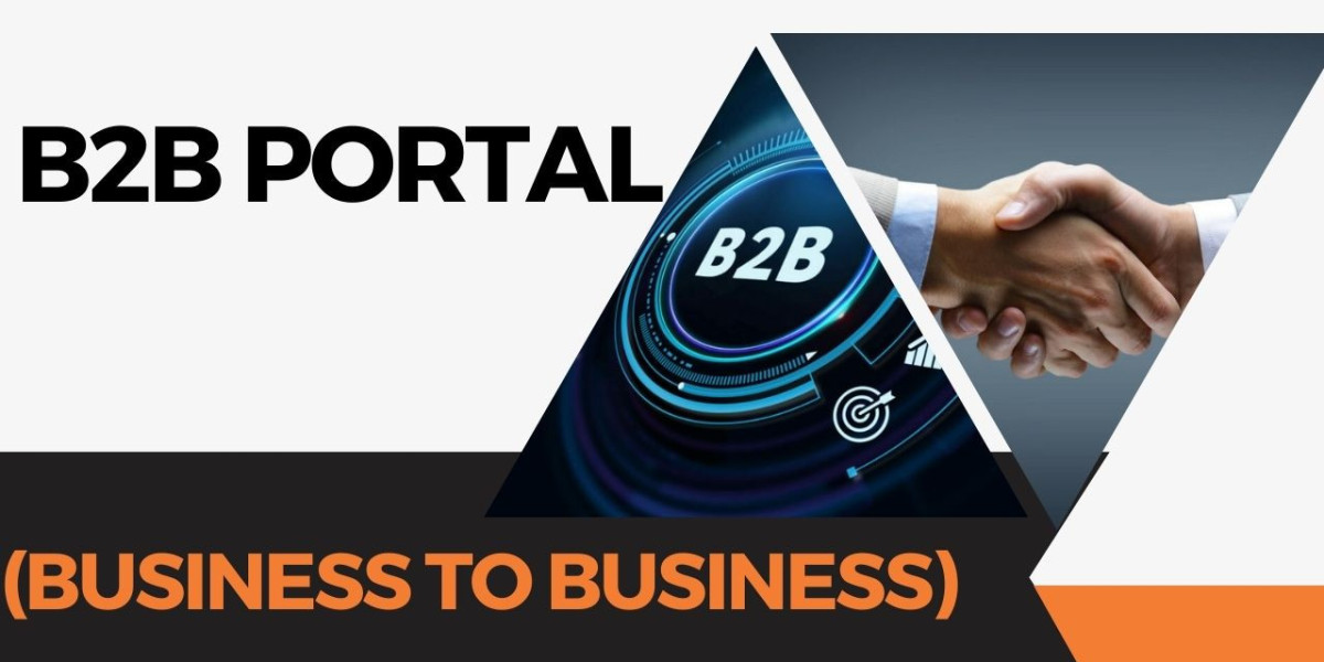 Case Studies: Success Stories from B2B Portals