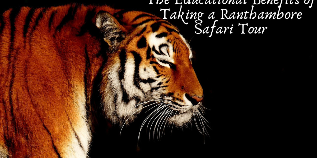 The Educational Benefits of Taking a Ranthambore Safari Tour