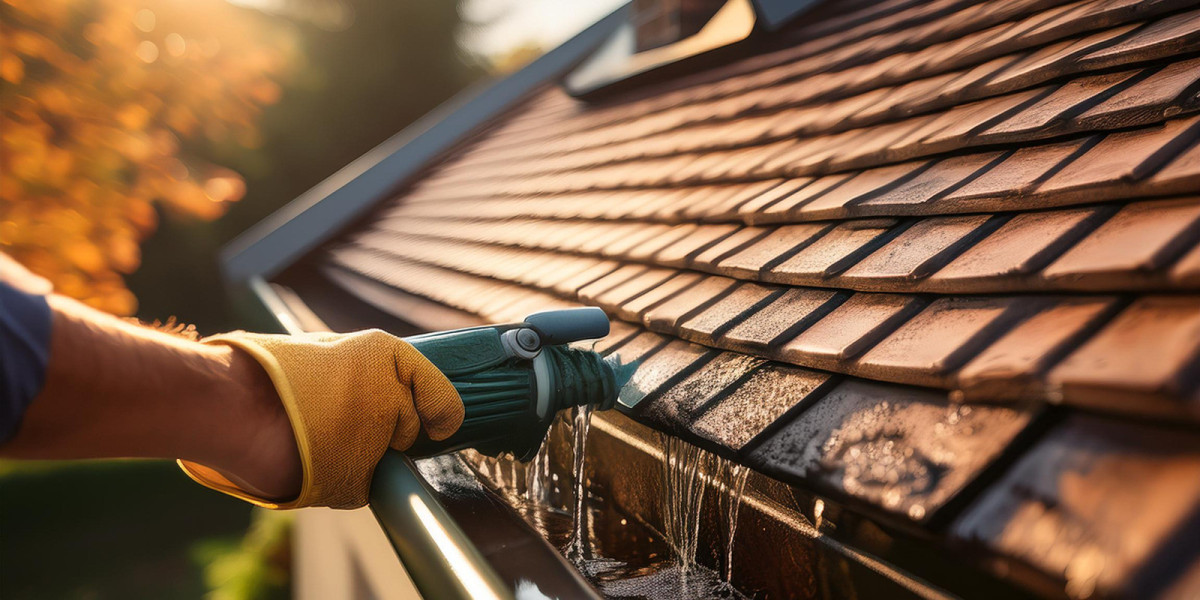 Reliable Gutter Cleaning for a Safer Home