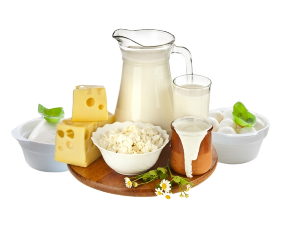 Transform Your Dairy Business in Gujarat with Flavi Dairy Solution’s Cutting-Edge Industry Advancements