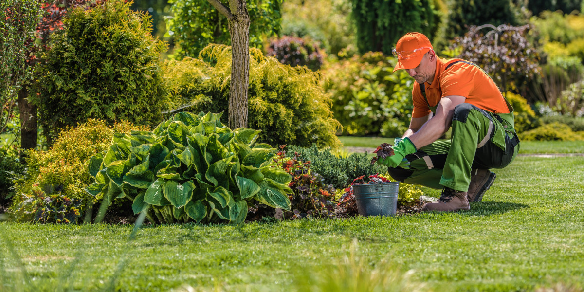 Hiring a Garden Landscaper: Tips to Find a Reputable Professional