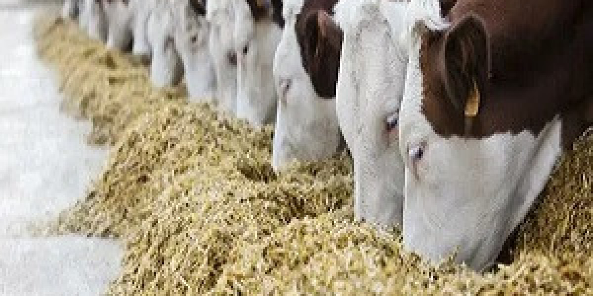 Europe Animal Feed Market Regional Analysis of the Market Size, Share, and Trends