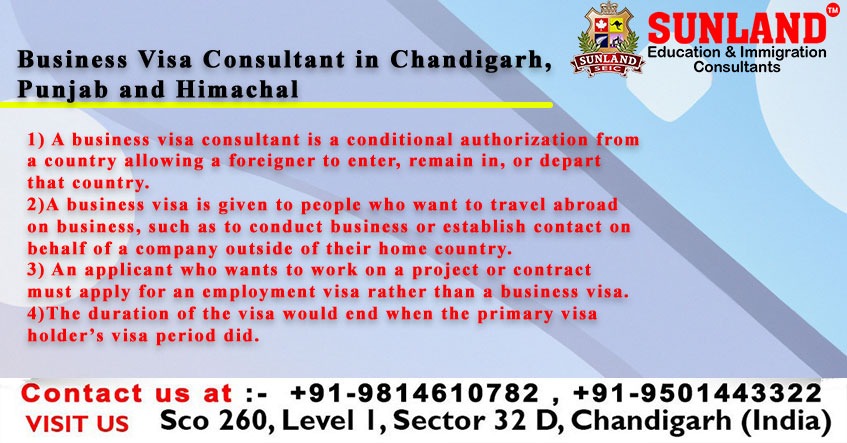 Business Visa Consultant in Chandigarh, Punjab, and Himachal - Expert Visa Services