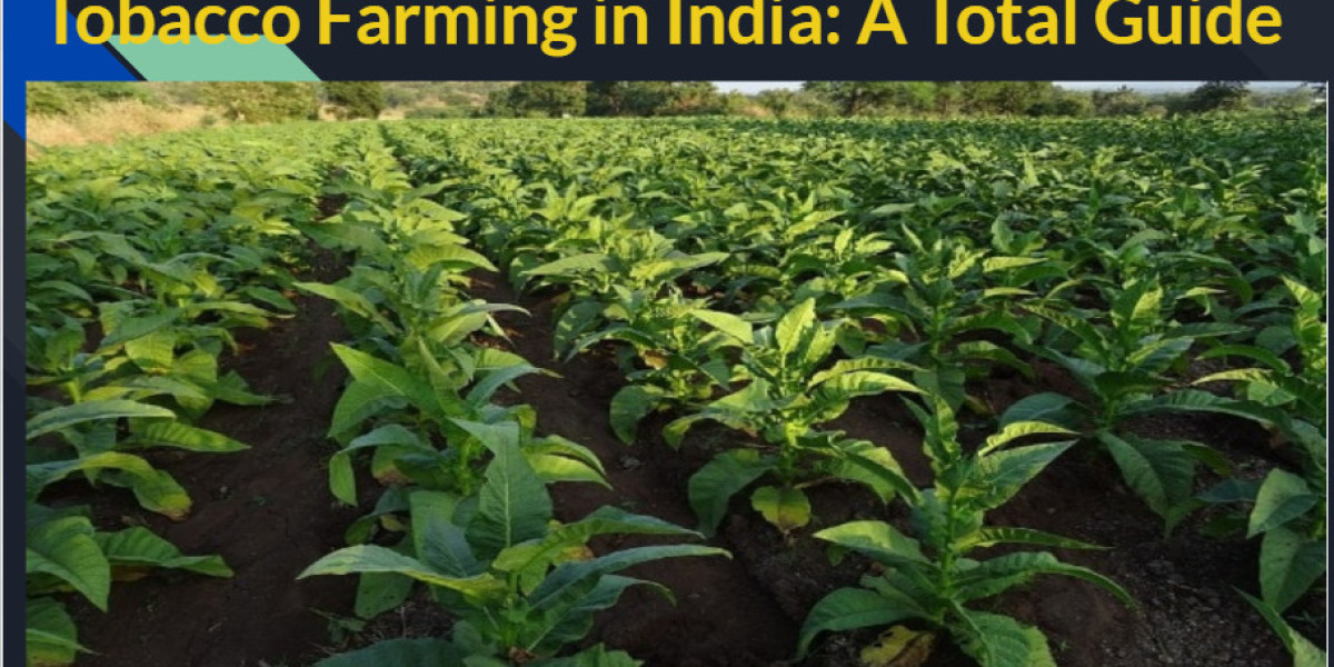 Tobacco Farming in India: A Total Guide