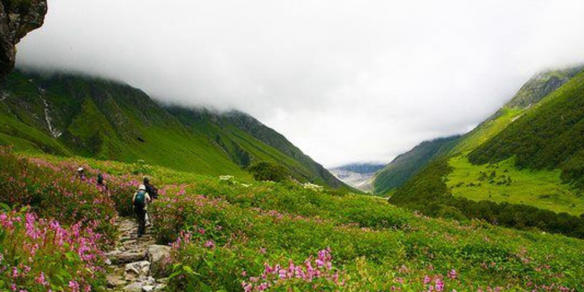 How to Enjoy a Sustainable Trek in the Valley of Flowers