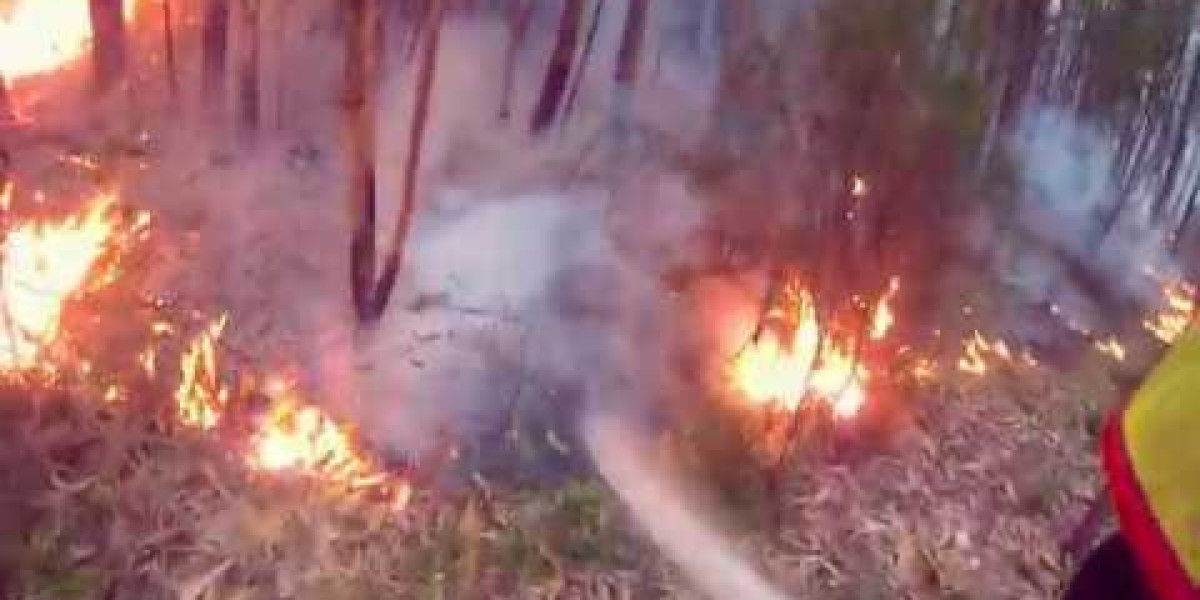 Entrenamiento para las dominadas de los bomberos