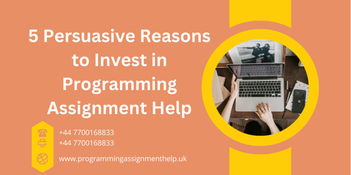 5 Persuasive Reasons to Invest in Programming Assignment Help