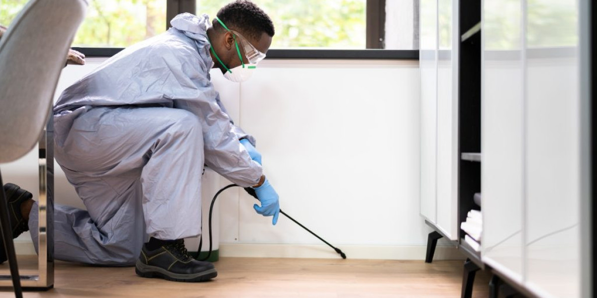 What to Look for When Hiring a Pest Control Professional