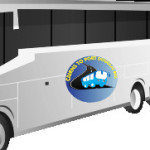 cairnsportbus profile picture