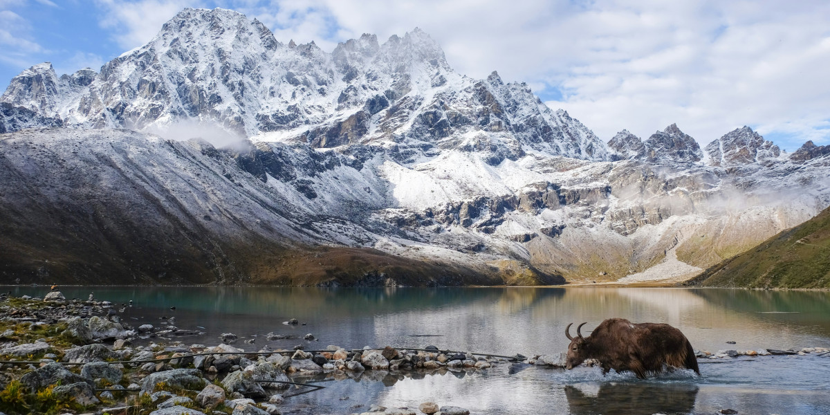 Gokyo Trek: A Journey to the Heart of the Himalayas