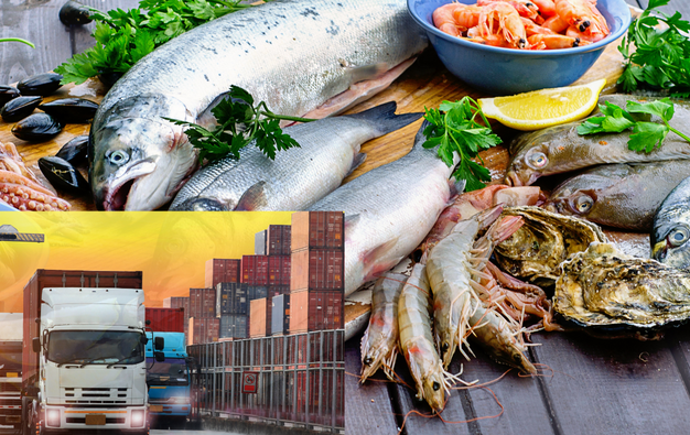 MPEDA Registration | Export Fish & Fishery Products with Ease