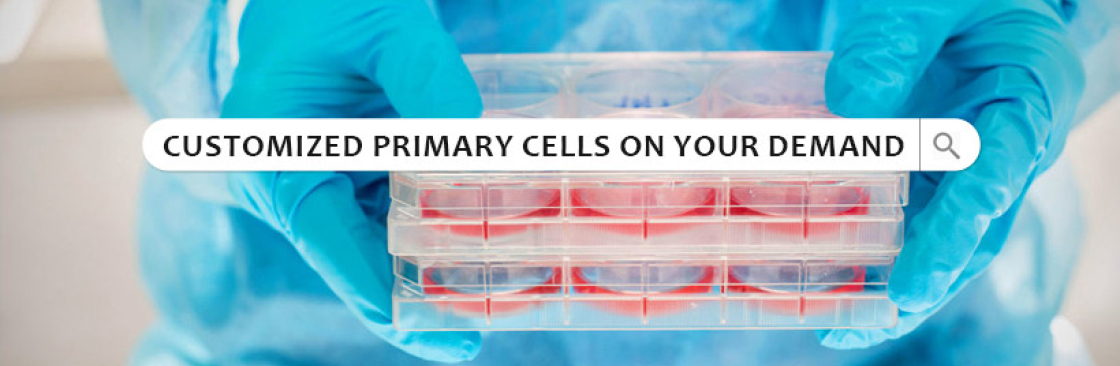 Kosheeka : Primary Cells for Research Cover Image