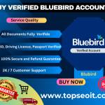 Buy Verified Bluebird Accounts Profile Picture