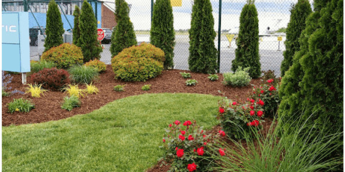 Seasonal Connecticut Lawn Care Tips to Keep Your Yard Stunning