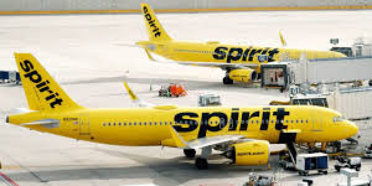 Spirit flight delay compensation policy and process information: