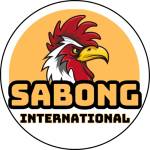 sabonginternationalhomes profile picture