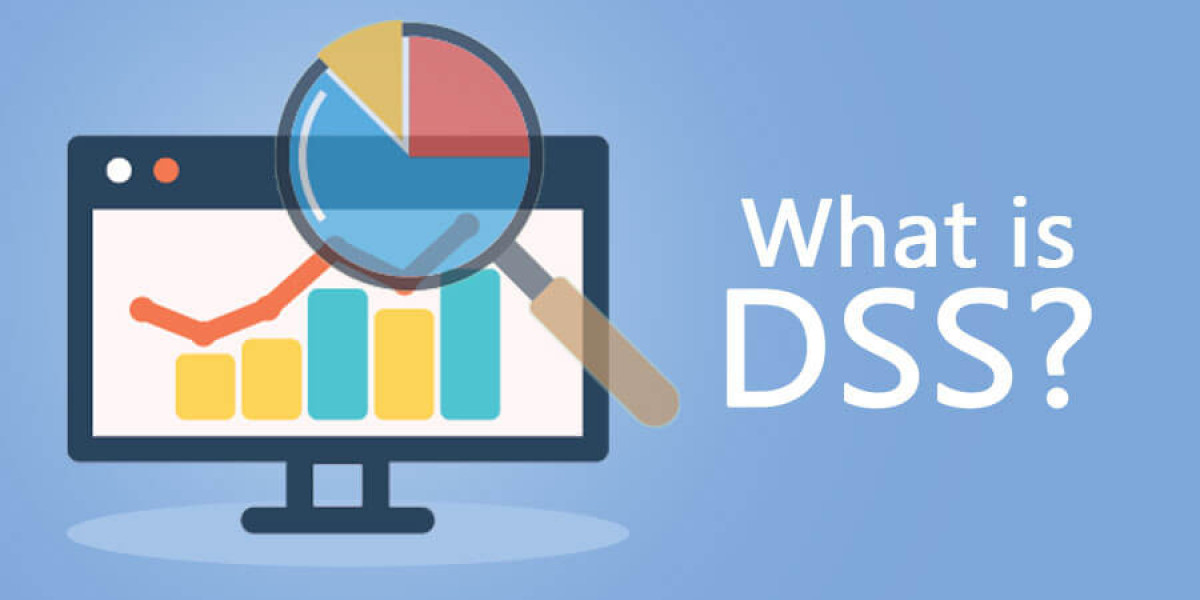 Decision Support System (DSS) Software Market: An Attractive Long-Term Opportunity