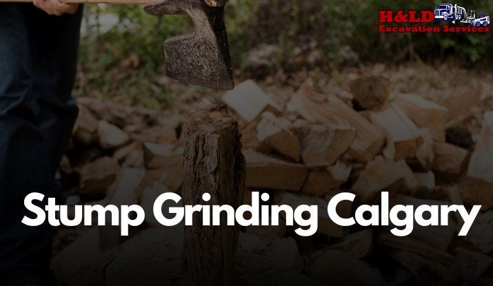 How Stump Grinding Prepares Your Yard for New Growth