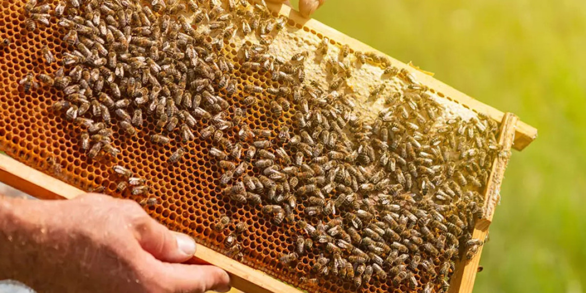 Apiculture Market are made an overview to the Future Opportunities over the Globe