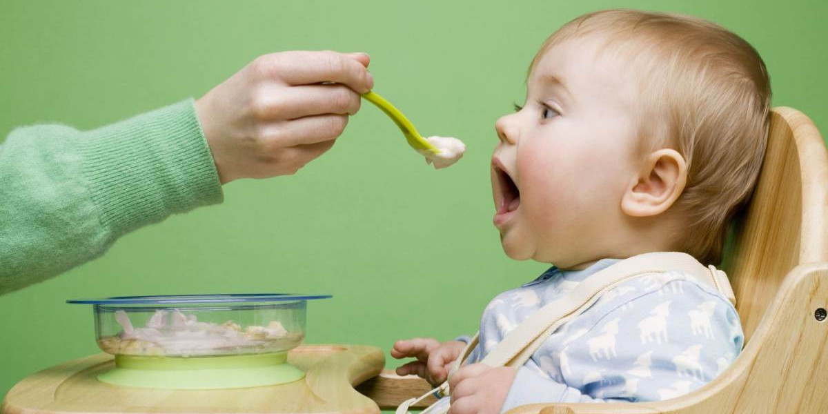 Baby Food Market SWOT Analysis by Size, Status, Development and Forecast 2024-2032