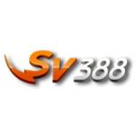 sv388yachts Profile Picture