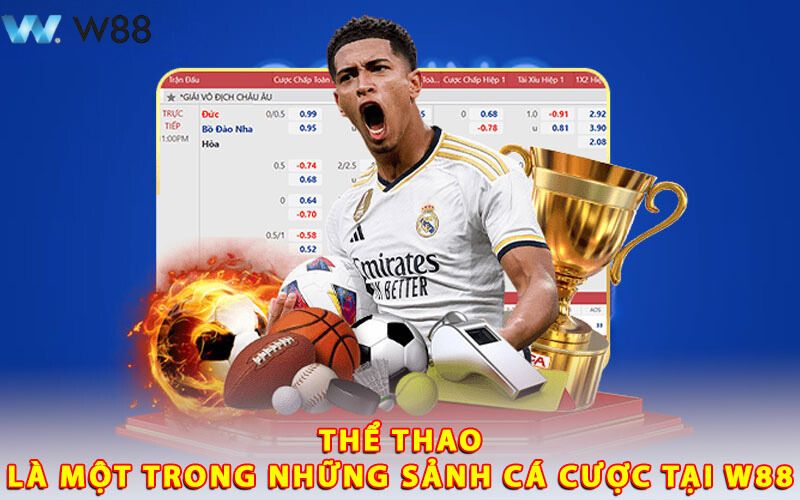 Nhà Cái W88 - Sân Chơi Có Độ Uy Tín Hàng Đầu Khu Vực Châu Á