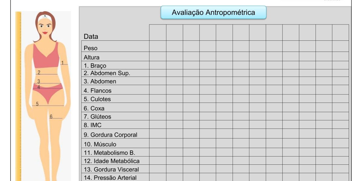 Guía completa de anatomía humana básica: Todo lo que necesitas saber