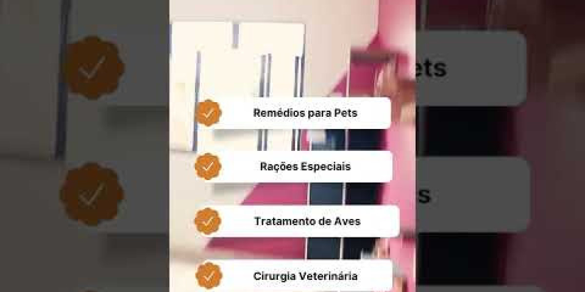 Diagnóstico Por Imágenes Para Felinos Ultrasonido, RMN, Rayos X, Radiología