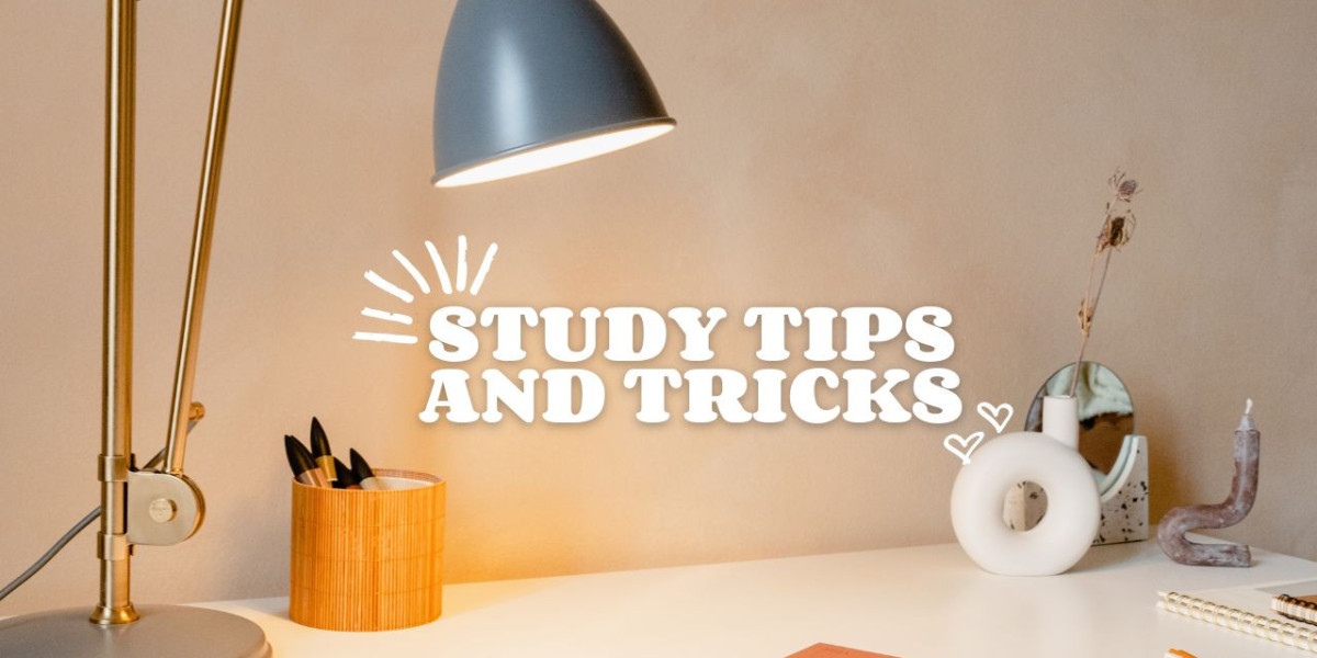 How to Study for Long Hours: Tips and Tricks