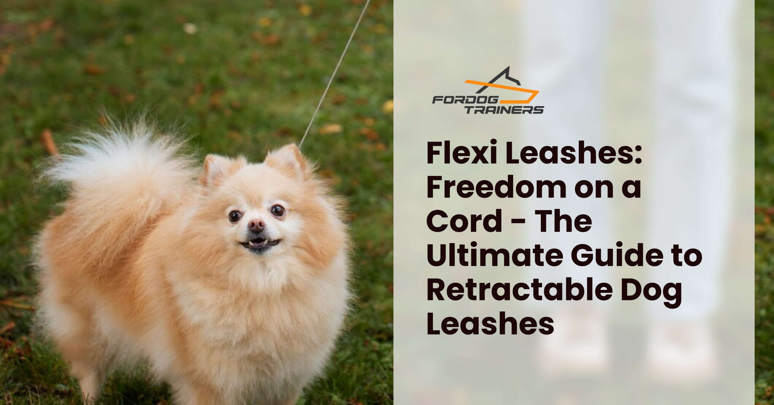 Flexi Leashes: Freedom on a Cord - The Ultimate Guide to Retractable Dog Leashes - ForDogTrainers Blog