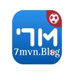 7mvn blog Profile Picture