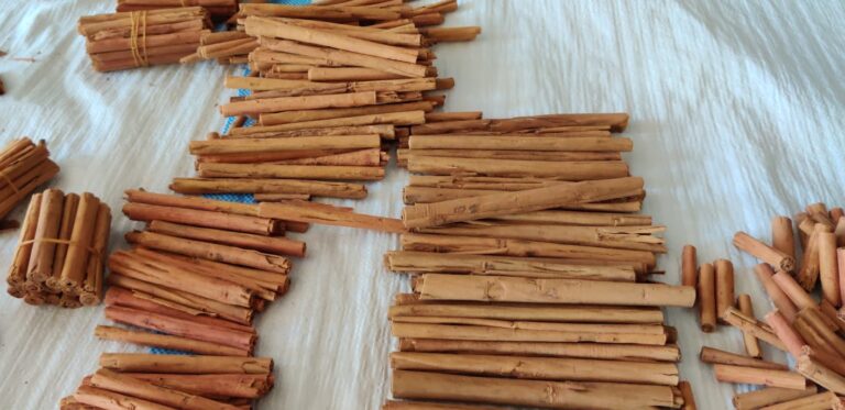 Ceylon Cinnamon Supplier: Your Source for Authentic Quality - Robust Madagascar