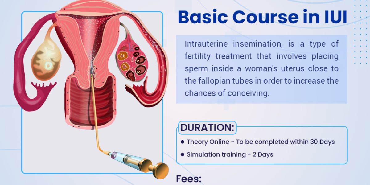 Elevating Fertility Treatment Skills and Patient Care: IUI Training Courses and IVF Hospitals in Bangalore