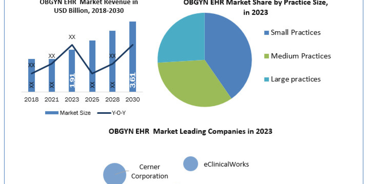 OBGYN EHR Market Latest Development Trends, Top Key Players Analysis to 2030