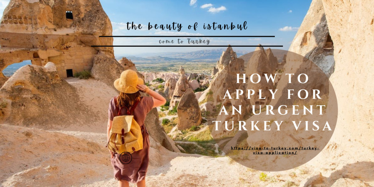 Can I Get a Turkey Visa the Same Day? A Comprehensive Guide for Adventurers