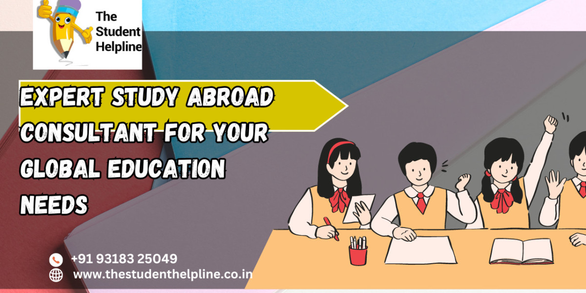 Expert Study Abroad Consultant for Your Global Education Needs