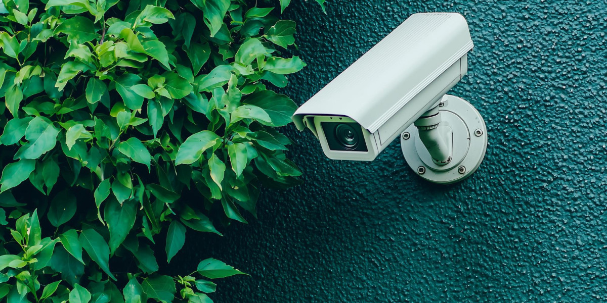 Fisheye USB Cameras: Expanding Horizons in Smart Surveillance Technology