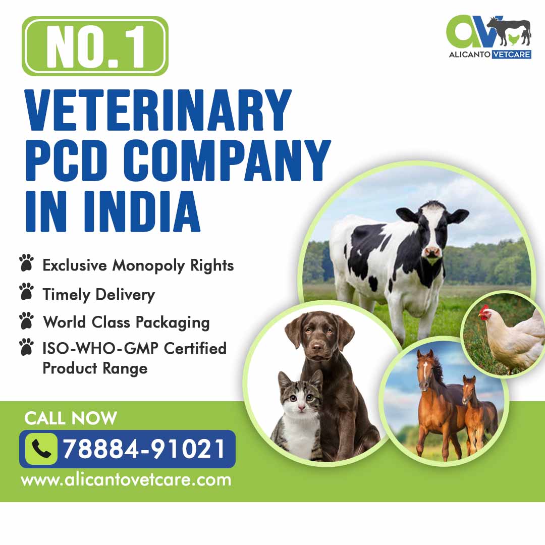 No.1 Veterinary PCD Company in India | Veterinary PCD Franchise