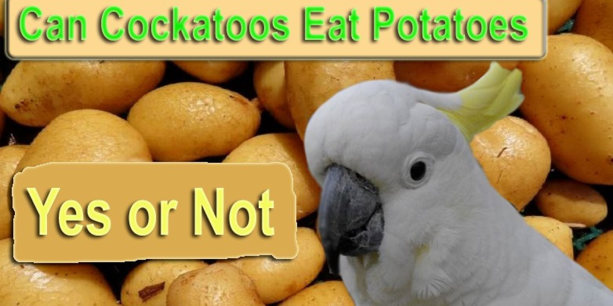 Can I Serve Baked Potatoes to My Cockatoos?