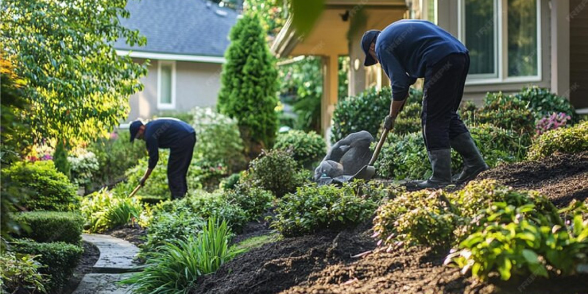 Top 10 Garden Maintenance Mistakes and How a Professional Gardening Service Can Help