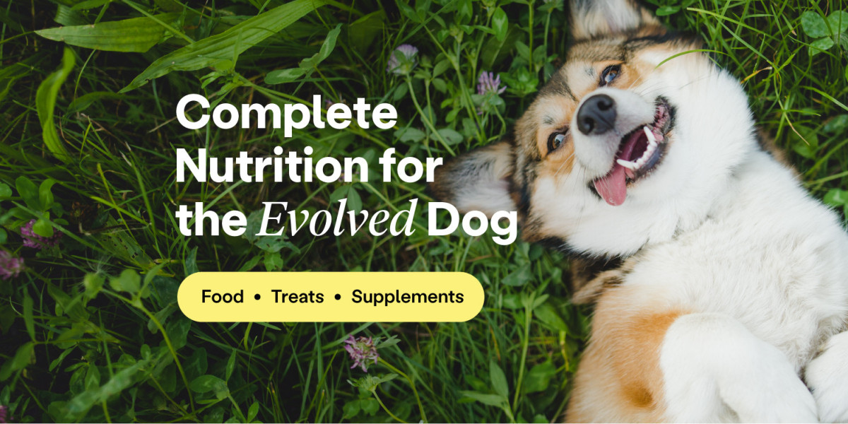 5 Common Dog Food Myths You Shouldn't Believe