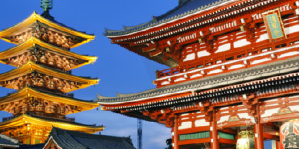 Experience Tokyo Like a Local with Tokyo Grand Tours