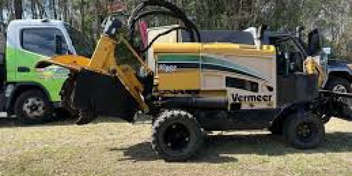 Comprehensive Tree and Stump Removal Gold Coast Services for Your Property