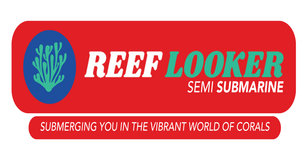 Explore Adventure Sports in Andaman with Reef Looker