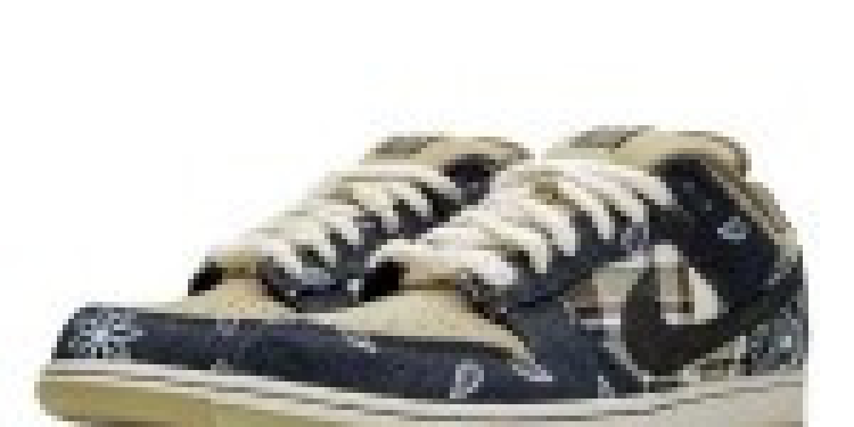 Dunk SB Travis 與 Nike SB Check Solar Canvas：為何它們成為球鞋界的巔峰之作？