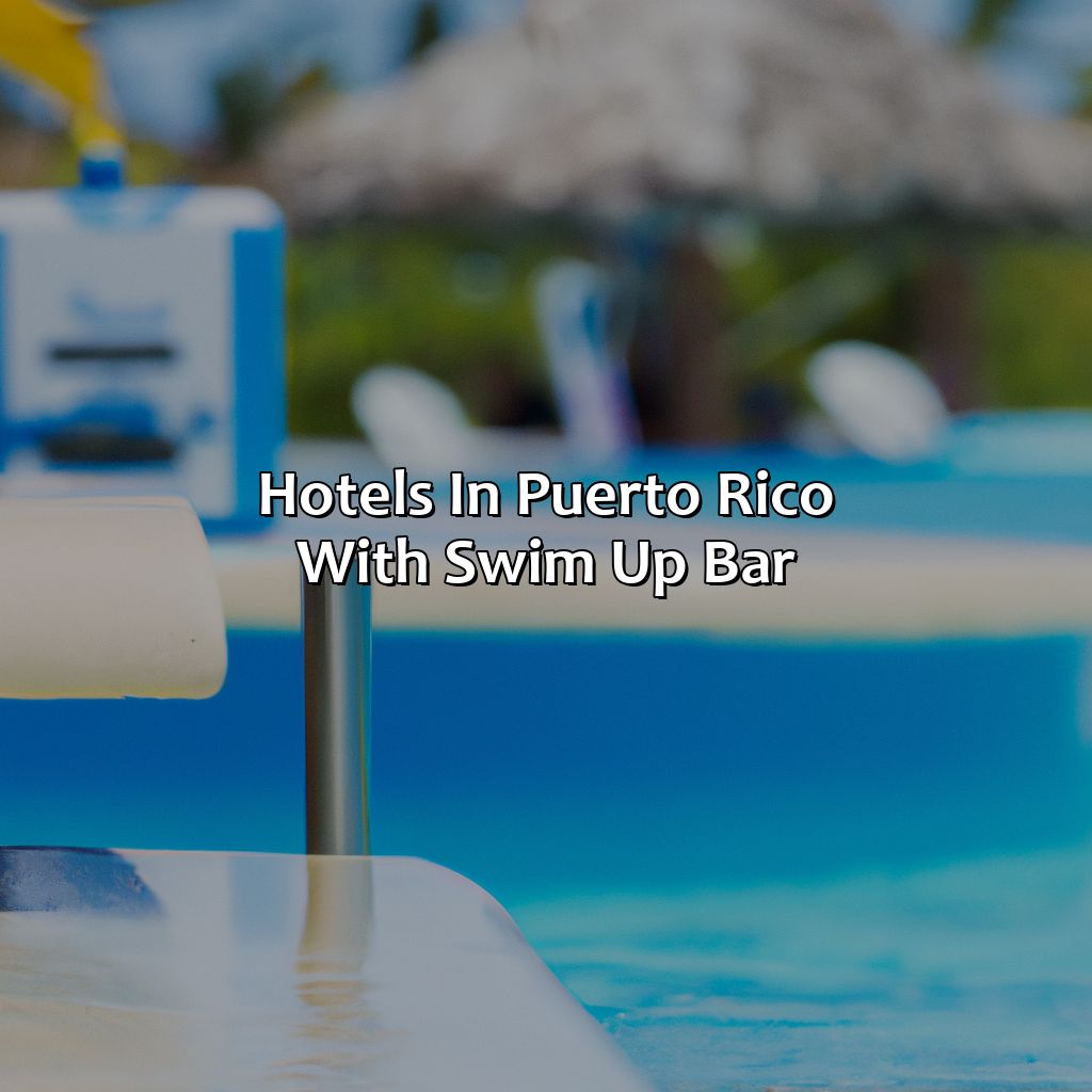 Hotels In Puerto Rico With Swim Up Bar - Krug