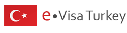 Apply for Turkey eVisa Online | Turkey Visit Visa Application Form