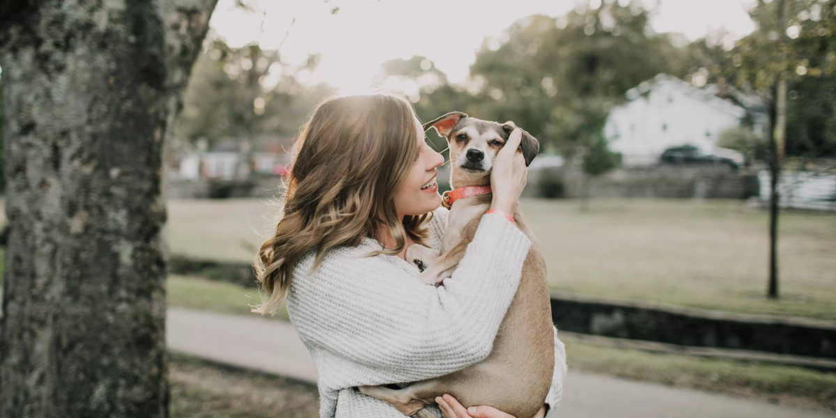 What are the Signs of a Good Pet Grooming Service?